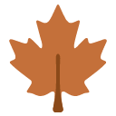 Maple Leaves